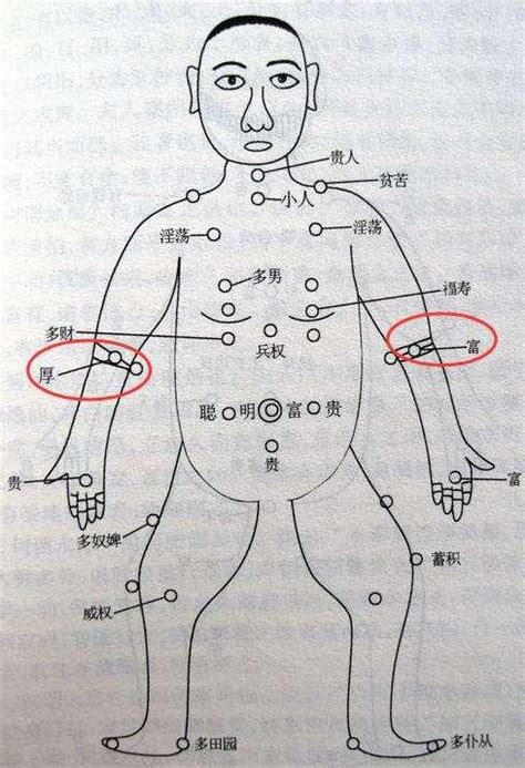 手臂有痣|胳膊上有痣代表什么 胳膊不同位置痣相解析——天玄网